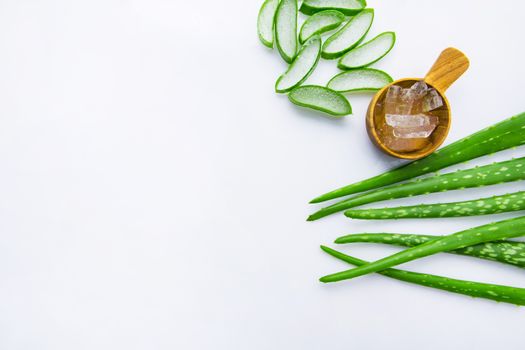 Aloe vera fresh leaves with aloe vera gel on wooden measuring spoon. isolated over white