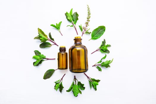 Holy Basil Essential Oil in a Glass Bottle with Fresh Holy Basil white wooden background.