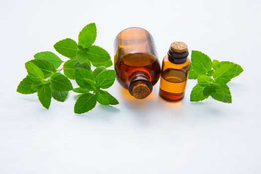 Natural Mint Essential Oil in a Glass Bottle with Fresh Mint Leaves on white wooden background.