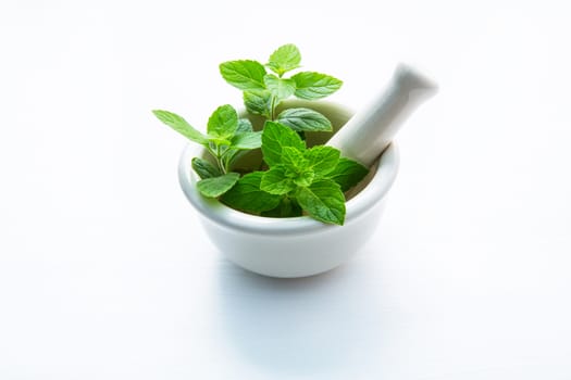 Mint Leaves in white porcelain mortar on white wooden background