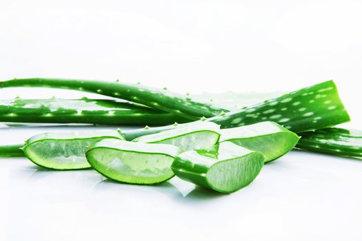 Aloe vera fresh leaves with slices aloe vera gel. isolated over white with copy space.
