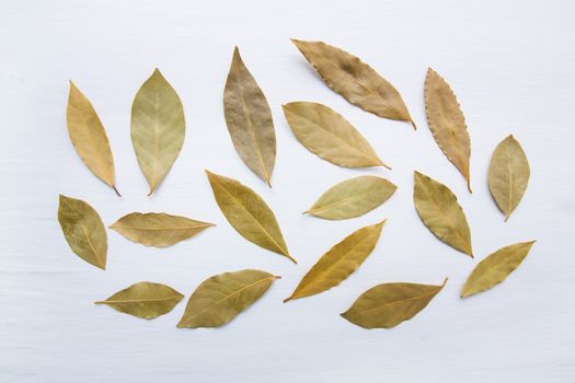 Dried bay leaves on white wooden background.