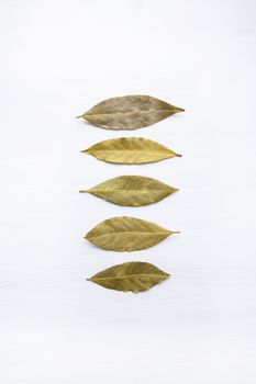 Dried bay leaves isolated on white wooden background with copy space.