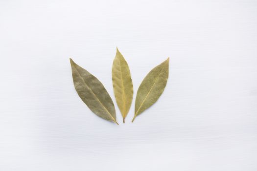 Dried bay leaves on white wooden background.