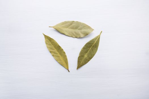 Dried bay leaves on white wooden background.