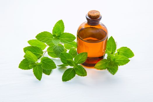 Natural Mint Essential Oil in a Glass Bottle with Fresh Mint Leaves  on white wooden background.