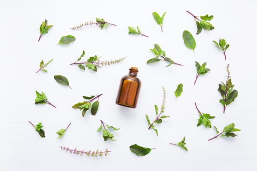 Holy Basil  Essential Oil in a Glass Bottle with Fresh Holy Basil white wooden  background.   