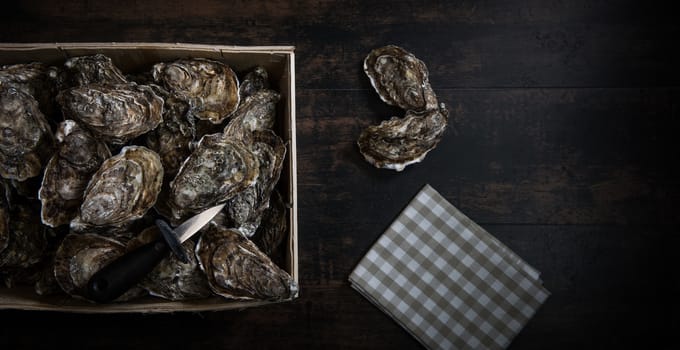Raw oysters with lemon on wood board and bottle of wine and glass, France