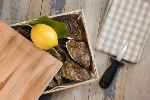 Raw oysters with lemon on wood board and bottle of wine and glass, France