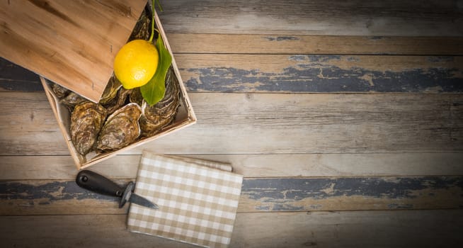 Raw oysters with lemon on wood board and bottle of wine and glass, France