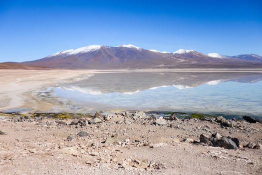 Clear altiplano laguna in sud Lipez reserva Eduardo Avaroa, Bolivia