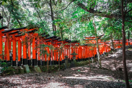 Fushimi Inari Taisha torii shrine, Kyoto, Japan