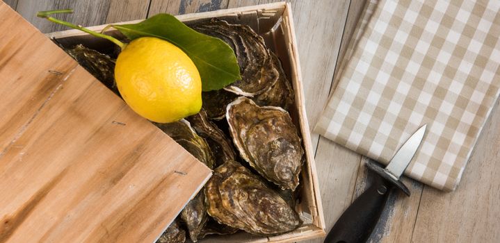 Raw oysters with lemon on wood board and bottle of wine and glass, France