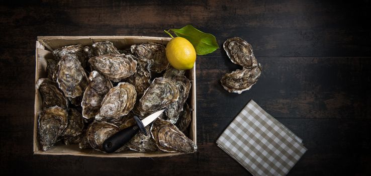 Raw oysters with lemon on wood board and bottle of wine and glass, France