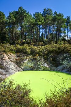 green lake in Waiotapu geothermal area, Rotorua, New Zealand