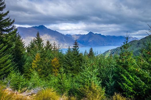 Lake Wakatipu and mountain forest panorama, New Zealand