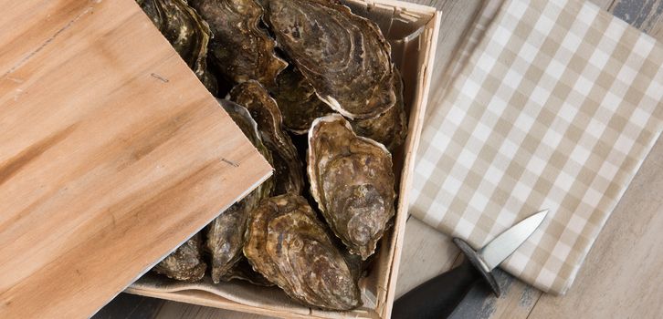 Raw oysters with lemon on wood board and bottle of wine and glass, France