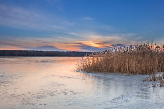 Winter paysage landscape of sunset evening iced frozen lake river and dry canes
