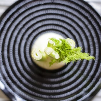 green and fresh fennel close up view