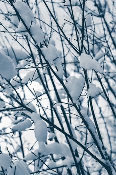 Cold winter snowy landscape at middle of the day. Monochrome