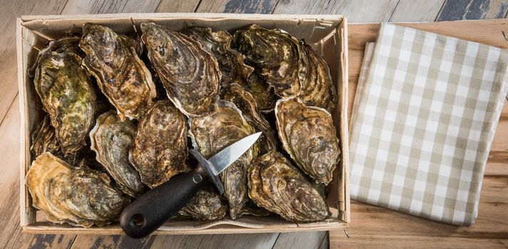 Raw oysters with lemon on wood board and bottle of wine and glass, France