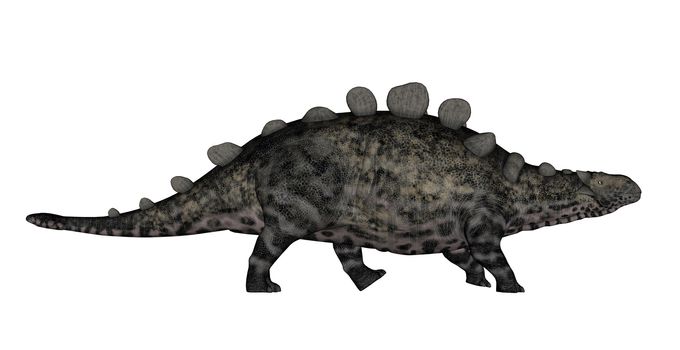Chrichtonsaurus dinosaur walking isolated in white background - 3D render