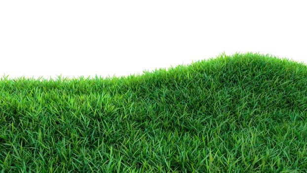 Grass background, fresh green fields, isolated on white background. 3d illustration