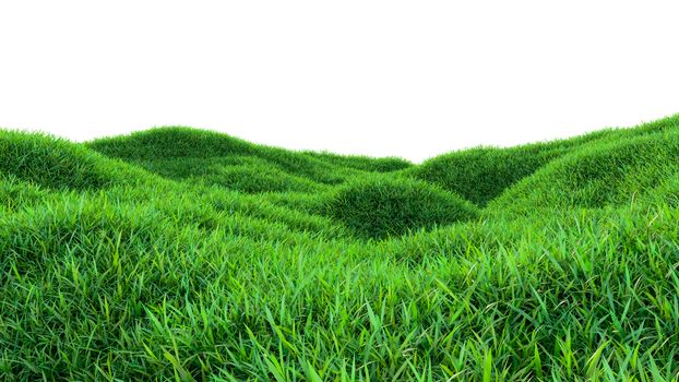 Green grass field isolated on white background. 3d illustration