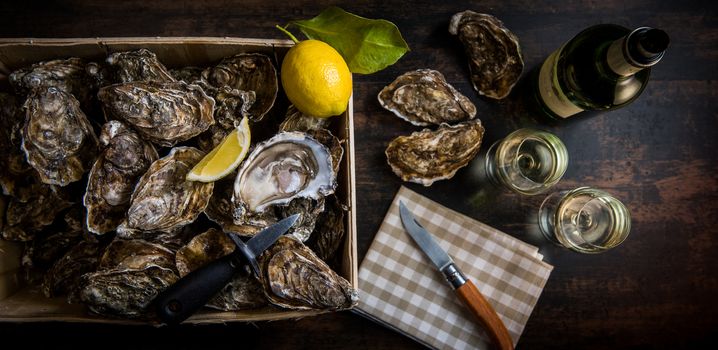 Raw oysters with lemon on wood board and bottle of wine and glass, France