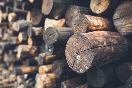 Selective focus Pile firewood prepared for fireplace