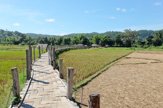 Zu Tong Pae bamboo bridge in Mae Hong Son, Thailand. popular tourist attraction in Mae Hong Son.