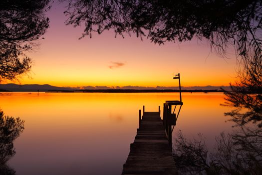 Little old timber jetty on calm waters at dawn and framed by the silhoutted leaves of trees.