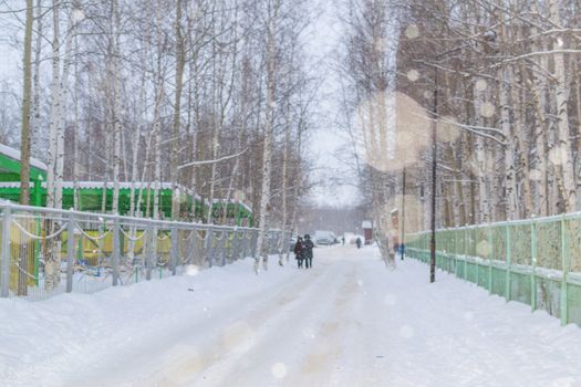 snow and trees and snow falls from the sky and the city