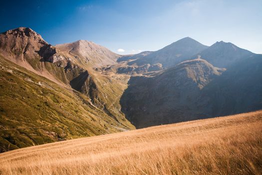 nature scenery in autumn, field with mountains in the background