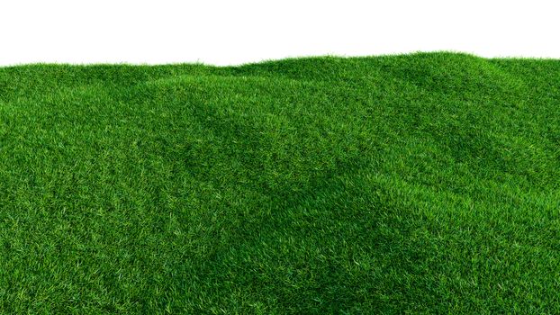 Green grass field on small hills, isolated on white background. 3d illustration