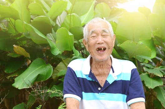Portrait Of Asian Senior Man In Park