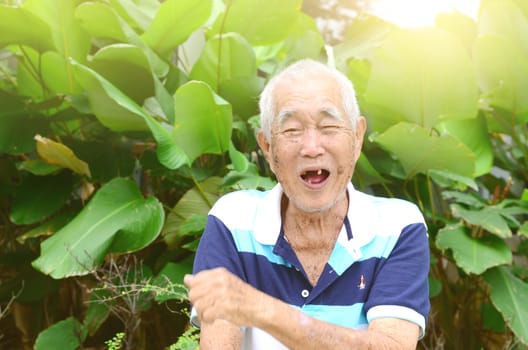 Portrait Of Asian Senior Man In Park