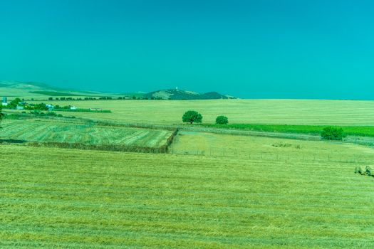 Greenery, Mountains, Farms and Fields on the outskirts of Ronda Spain, Europe on a hot summer day with clear blue skies