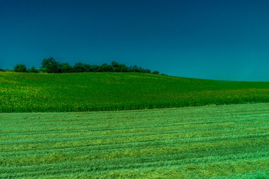 Greenery, Mountains, Farms and Fields on the outskirts of Ronda Spain, Europe on a hot summer day with clear blue skies