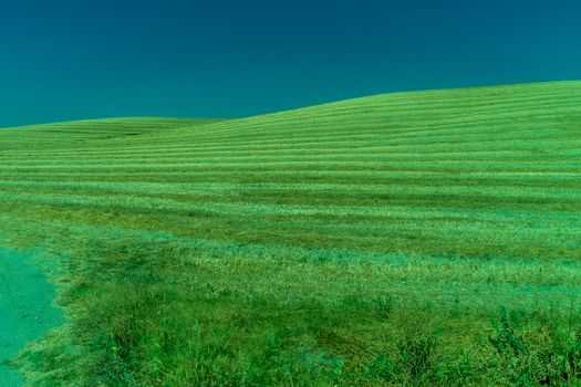 Greenery, Mountains, Farms and Fields on the outskirts of Ronda Spain, Europe on a hot summer day with clear blue skies