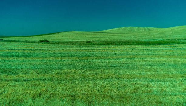 Greenery, Mountains, Farms and Fields on the outskirts of Ronda Spain, Europe on a hot summer day with clear blue skies