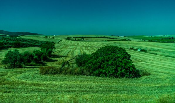 Greenery, Mountains, Farms and Fields on the outskirts of Ronda Spain, Europe on a hot summer day with clear blue skies