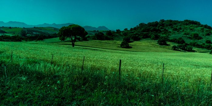 Greenery, Mountains, Farms and Fields on the outskirts of Ronda Spain, Europe on a hot summer day with clear blue skies