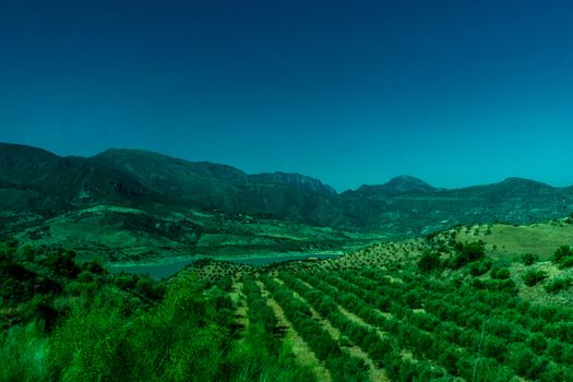 Greenery, Mountains, Farms and Fields on the outskirts of Ronda Spain, Europe on a hot summer day with clear blue skies