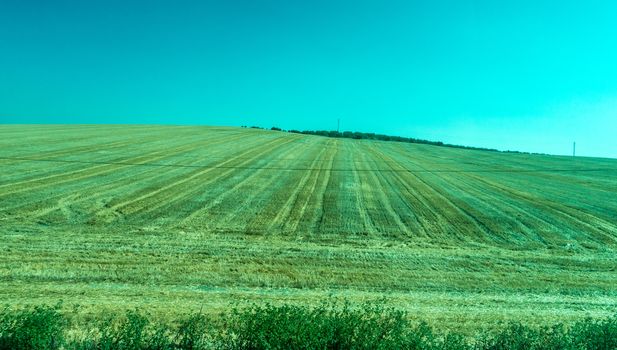 Greenery, Mountains, Farms and Fields on the outskirts of Ronda Spain, Europe on a hot summer day with clear blue skies