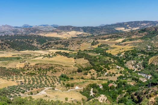 Greenery, Mountains, Farms and Fields on the outskirts of Ronda Spain, Europe on a hot summer day with clear blue skies