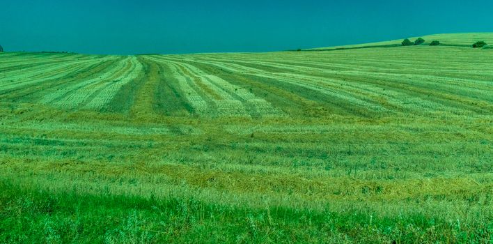 Greenery, Mountains, Farms and Fields on the outskirts of Ronda Spain, Europe on a hot summer day with clear blue skies