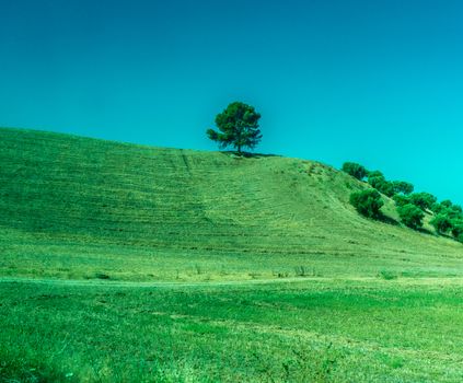 Greenery, Mountains, Farms and Fields on the outskirts of Ronda Spain, Europe on a hot summer day with clear blue skies