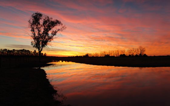 Spectacular sunrise with fiery skies and colourful hues reflected in the water and contrasted against tree silhouettes in rural NSW Australia