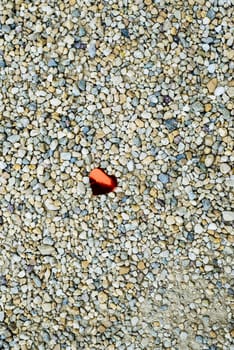 pebble background with red heart shaped petal